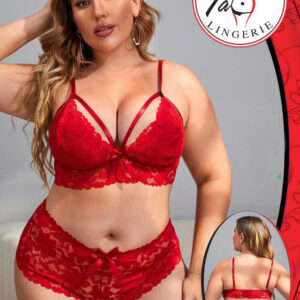 2342 Tag Big Size Lingerie